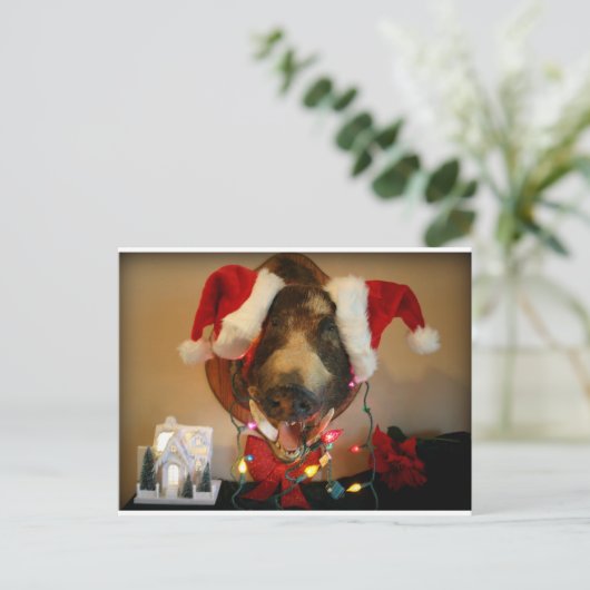 JGクリスマスカード ポストカード (スタンド正面)