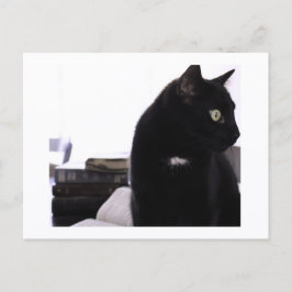 JH ThorntonによるBibles and Black Cat ポストカードプリント ポストカード