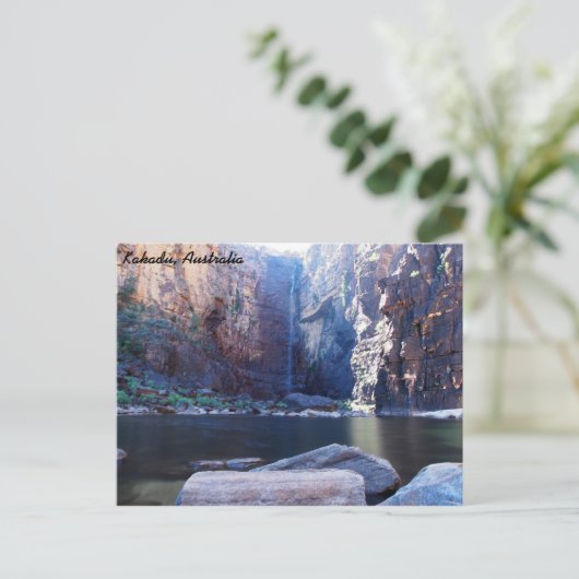 Jim Jim秋、カカドゥ、オーストラリアのはがき ポストカード (スタンド正面)