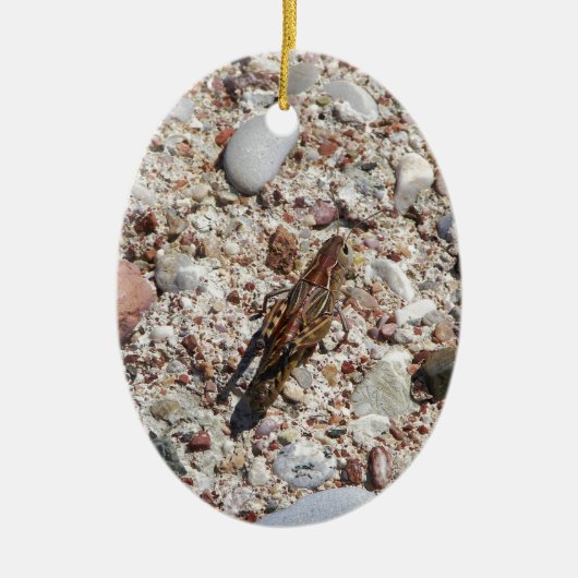 Jiminyのコオロギ セラミックオーナメント (正面)