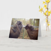 Jingle BabaとGoogle Mama カード (黄色い花)