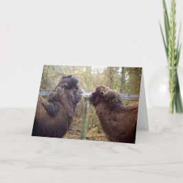 Jingle BabaとGoogle Mama カード