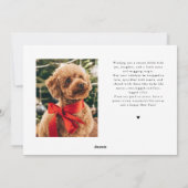 Jingle Bell Paws Christmas White Dog Photo  シーズンカード (裏面)