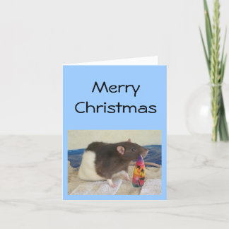 JJのクリスマス シーズンカード