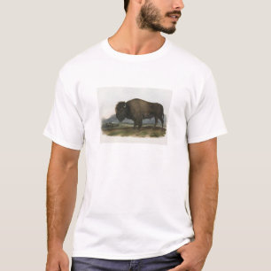 JJ Audubon -アメリカ野牛 Tシャツ