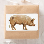 JJHDピグラベル ラベル (インサイチュ)