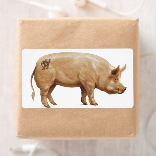 JJHDピグラベル ラベル (インサイチュ)