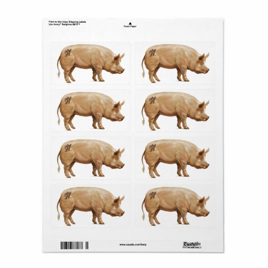 JJHDピグラベル ラベル (フルシート)