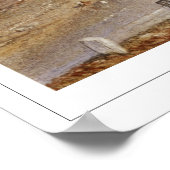 JMWターナーゼディングアートポスター#8 ポスター (角)