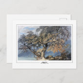 JMWターナー#17-3 -ファインアートはがき ポストカード (正面/裏面)