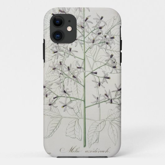 Jo著「Phytographie Medicale」からのMelia Azedarach Case-Mate iPhoneケース (裏面)