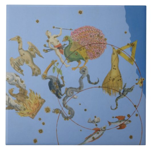 Jo著「Uranometria」からの星座のグループ タイル (正面)