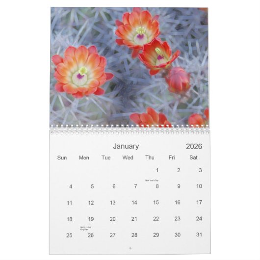 Joanne Lギャラリー写真2012 カレンダー (1月 2026)