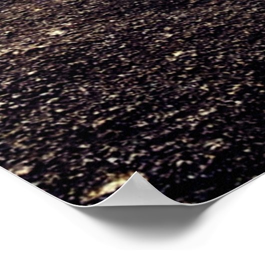 Joaquina ポスター (角)