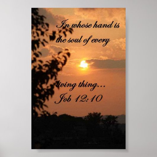 JOB 12:10ポスター ポスター (正面)