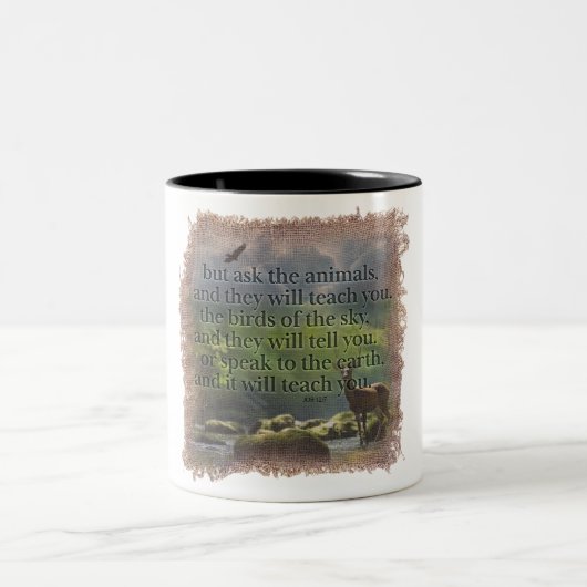 JOB 12:7 - Coffee Mug ツートーンマグカップ (中央)