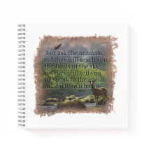 JOB 12:7 - Journal