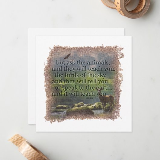 JOB 12:7 - Personalized Notecard ノートカード (正面/裏面インサイチュ)