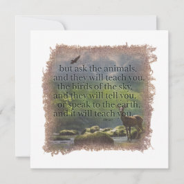 JOB 12:7 - Personalized Notecard ノートカード