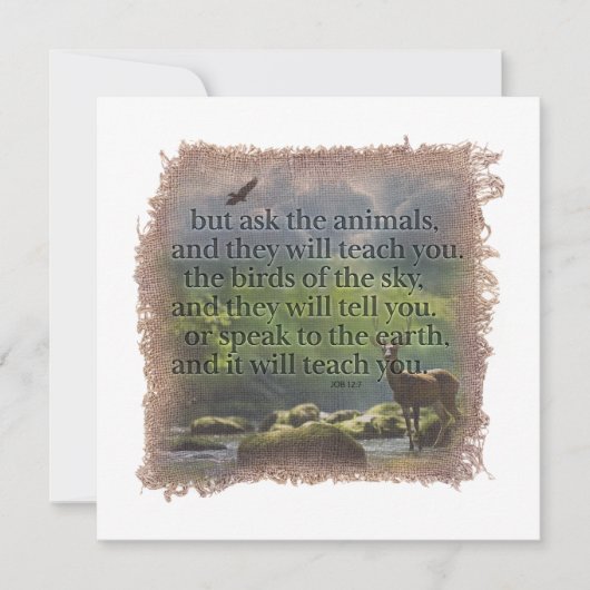 JOB 12:7 - Personalized Notecard ノートカード (正面)