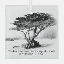 JOB 14:7ガラスオーナメント