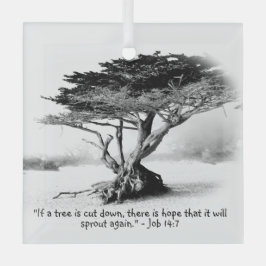 JOB 14:7ガラスオーナメント ガラスオーナメント