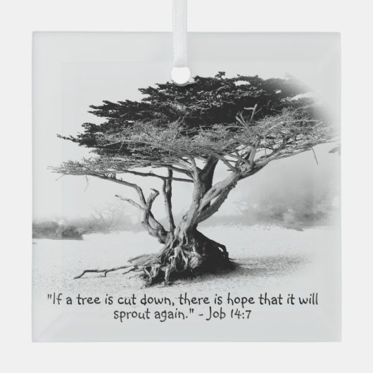 JOB 14:7ガラスオーナメント ガラスオーナメント (正面)