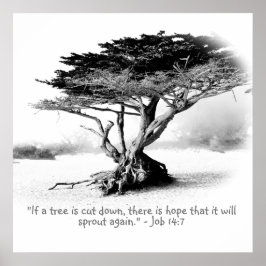 JOB 14:7ポスター ポスター