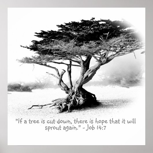 JOB 14:7ポスター ポスター (正面)