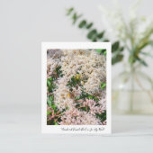 Joe-Pye-Weedハガキの3色のまわりに ポストカード (スタンド正面)