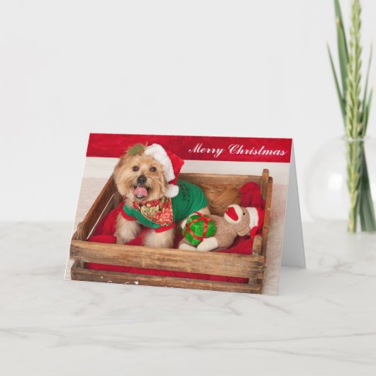 Joeyは皆にメリークリスマスを望みます シーズンカード (正面)