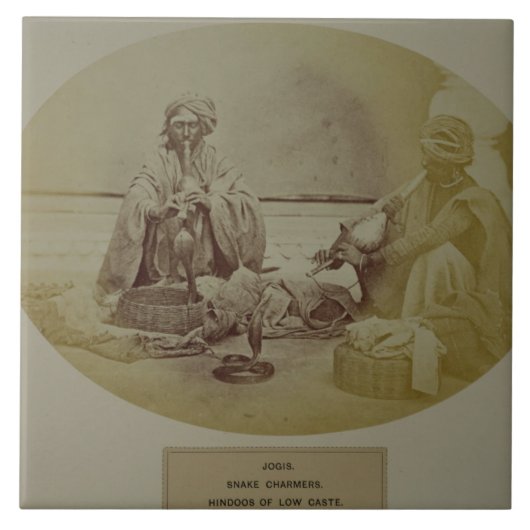 Jogisかヘビ使い、Delからの低いカーストHindus タイル (正面)