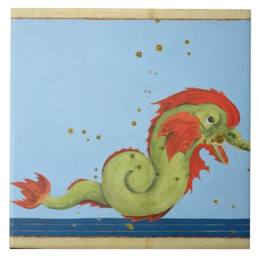 Joh著「Uranometria」からの魚類の星座、 タイル (正面)