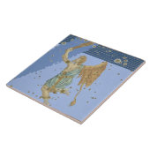 Joha著「Uranometria」からのオリオンの星座、 タイル (側面)