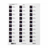 Johannes Vermeer – 天文学者 ラベル (フルシート)