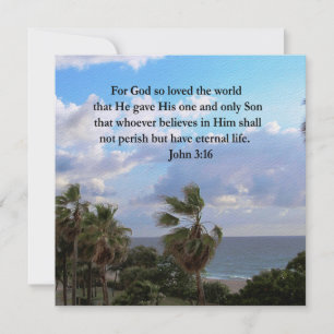 JOHN インスパイア 3:16写真