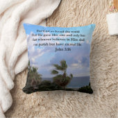 JOHN インスパイア 3:16写真 クッション (ブランケット)