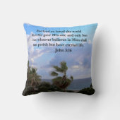 JOHN インスパイア 3:16写真 クッション (裏面)