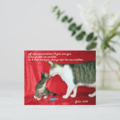 John 13:34聖書の葉書 ポストカード (スタンド正面)