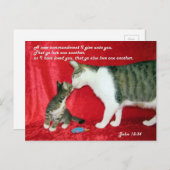 John 13:34聖書の葉書 ポストカード (正面/裏面)