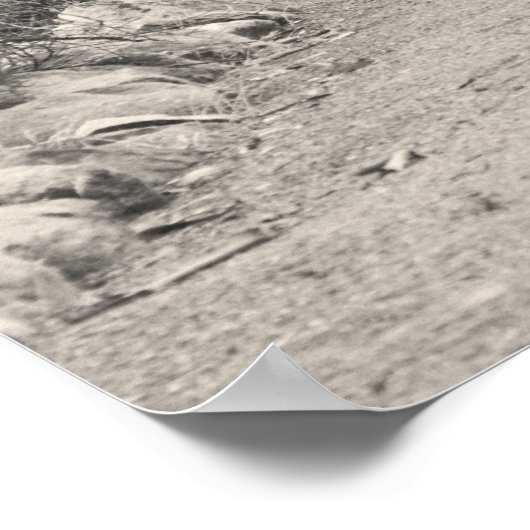 John 14:15パス写真 ポスター (角)