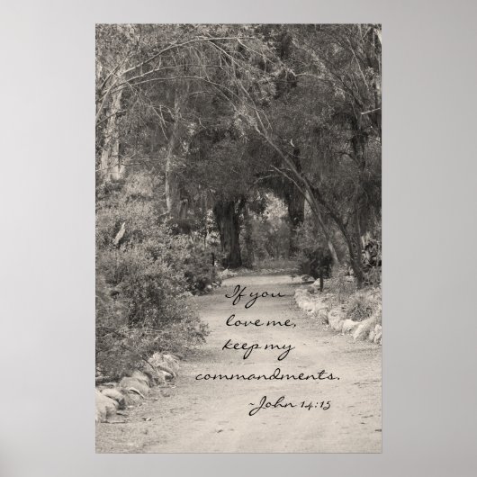 John 14:15パス写真 ポスター (正面)