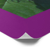 John 8 31:32プリント/ポスター ポスター (角)