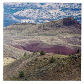 John Day Fossistle Beds National Monument, Oregon タイル (正面)