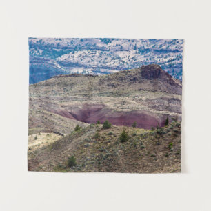 John Day Fossistle Beds National Monument, Oregon タペストリー