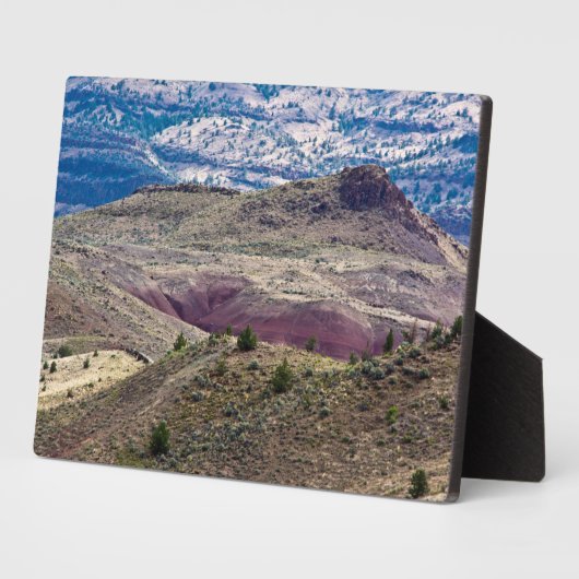 John Day Fossistle Beds National Monument, Oregon フォトプラーク (側面)