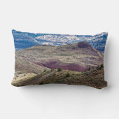 John Day Fossistle Beds National Monument, Oregon ランバークッション (裏面)