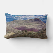 John Day Fossistle Beds National Monument, Oregon ランバークッション (正面)