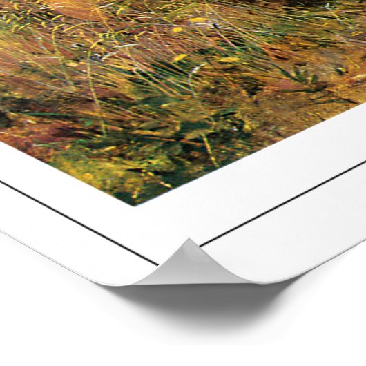 John Everett Millais Zeding Art Poster #176 ポスター (角)