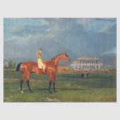 John Frederick Herring | Memnon, William Scott Up 薄葉紙 (正面)